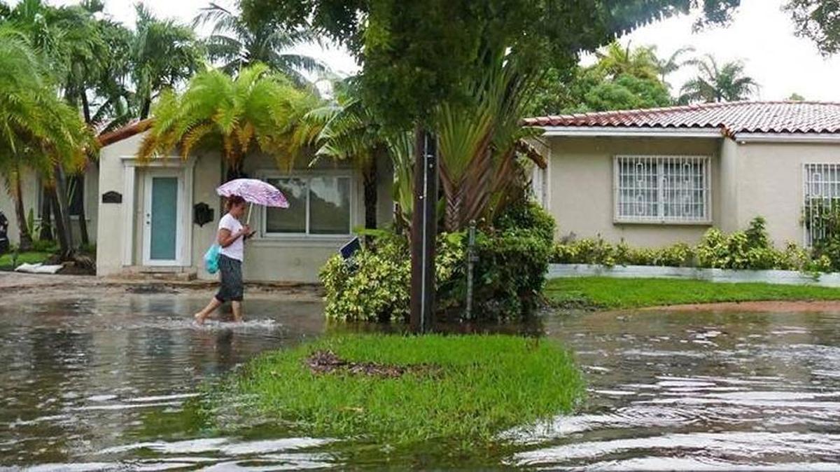 A pedestrian walks along a flooded sidewalk along Alton Road near Michigan Avenue on Tuesday, Aug. 1. EMILY MICHOT emichot@miamiherald.com