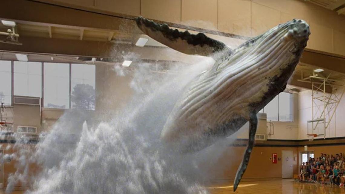 Screenshot from Magic Leap promotional video.