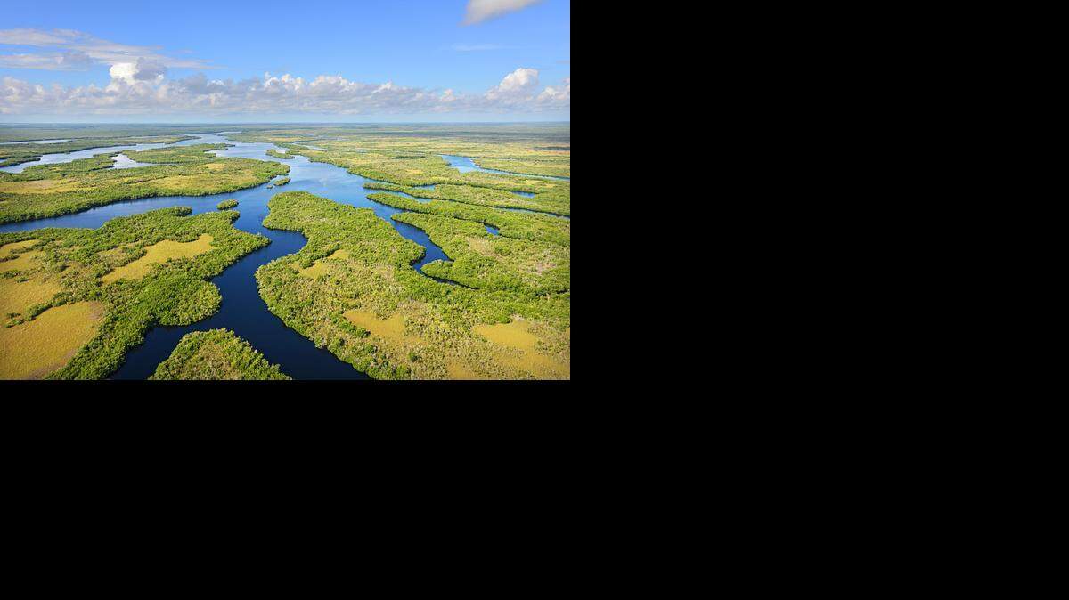 
Everglades National Park, Fl. -- Tarpon Bay, looking South West towards Florida Bay. 
