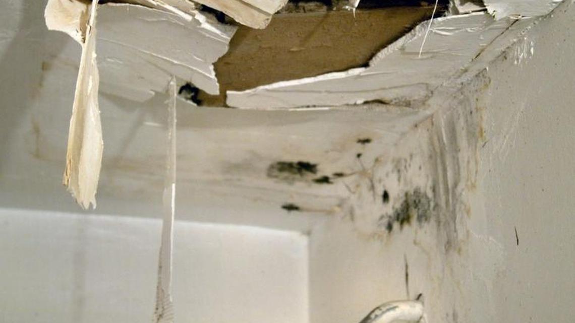 Homeowners insurance claims for water damage like this are driving up the overall cost of coverage in South Florida.