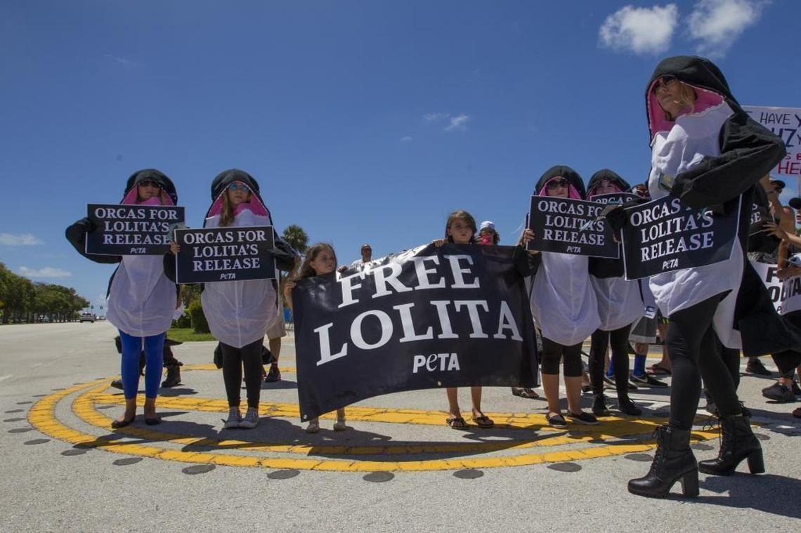 Protesters dressed in whale costumes demonstrate outside of the Miami Seaquarium in Key Biscayne on Tuesday, Aug. 8 2017 — the anniversary of Lolita's capture from Puget Sound 47 years ago.