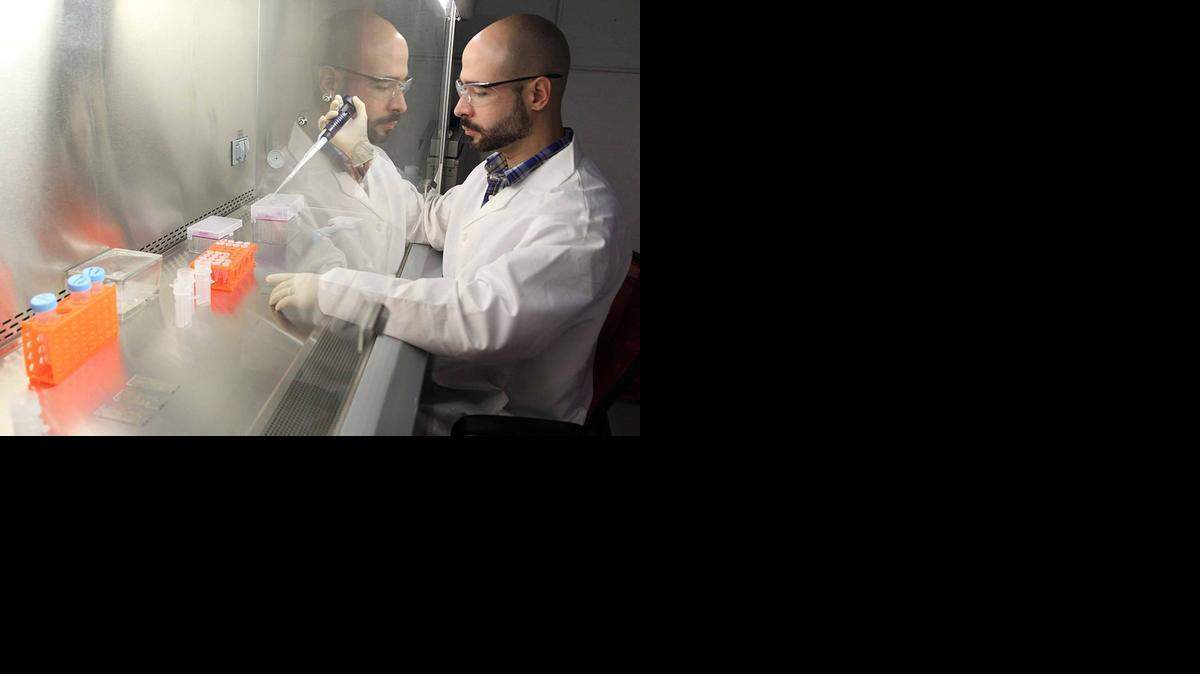 
Obdulio Piloto, co-founder and CEO, works on some samples at Entopsis in the Hialeah Technology Center. Entopsis is developing novel technology that can easily, cheaply and quickly be used to diagnose numerous diseases in people and animals. The same platform could be used to test foods for toxins or pathogens and many other applications. 
