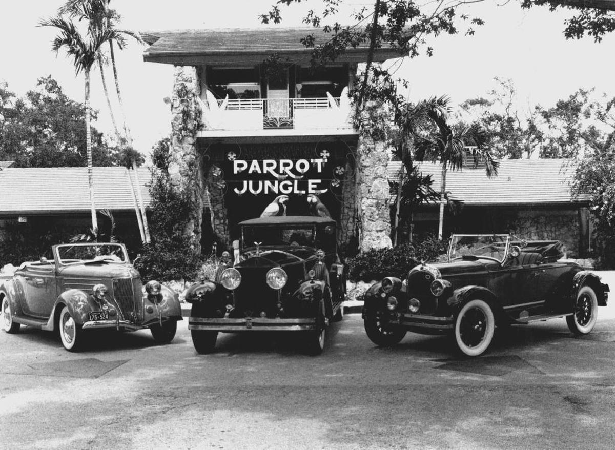 A Miami Herald file photo of Parrot Jungle at its original location in Pinecrest on Red Road and Southwest 112th Avenue.