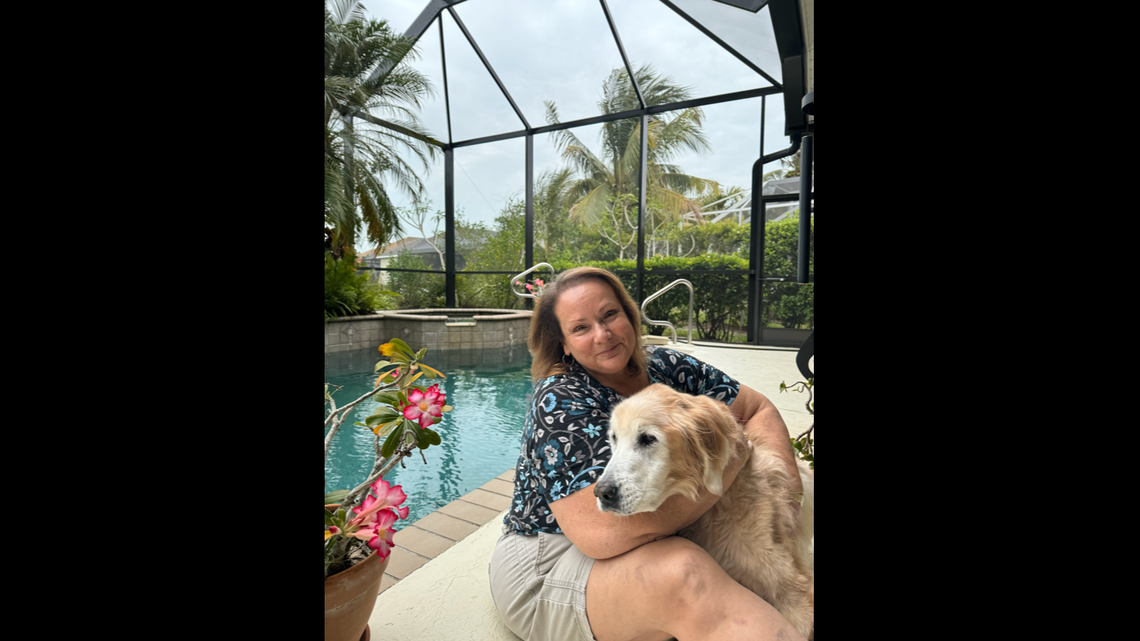 A rescue dog has a new home after winning over a family with his sweetness.