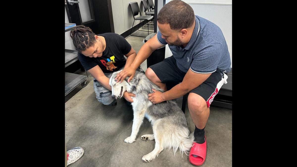 Ace the dog reunited with his family months after disappearing from a Florida yard.