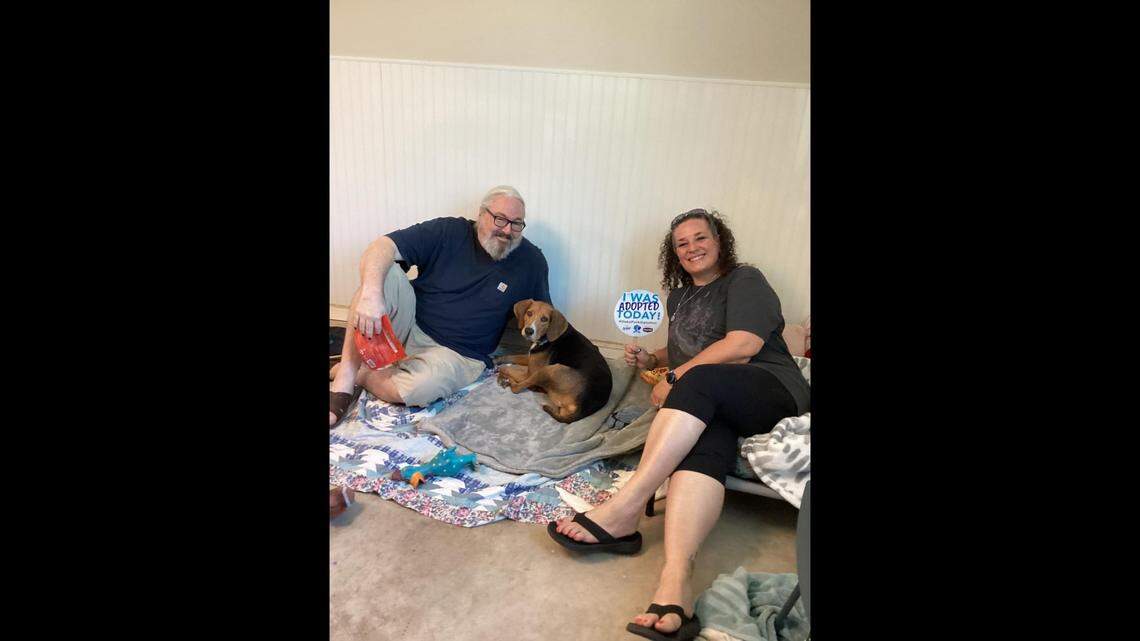 Polly the mama dog got a second chance in Florida.