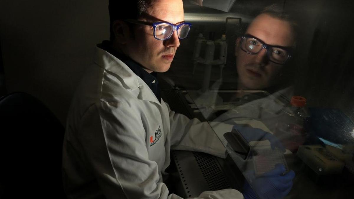 Diogo Magnani, an associate scientist for the University of Miami’s Miller School of Medicine, prepares cell cultures in a biological safety cabinet at the Department of Pathology at UM’s Life Sciences and Technology Park. Magnani helped lead a recent study that used injected Zika antibodies to stop infection in macaque monkeys.
