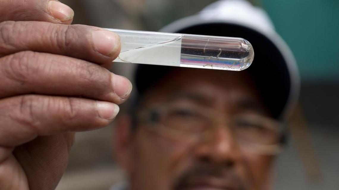 Health Ministry worker Carlos Lopez shows larvae of mosquitoes he found during a fumigation campaign at La Comuna 2 neighborhood in Guatemala City, Friday, Feb. 5, 2016. Zika virus is transmitted by the Aedes aegypti mosquito. On Friday, the U.S. Centers for Disease Control and Prevention issued a warning that the virus can also be transmitted by men to their sexual partners.