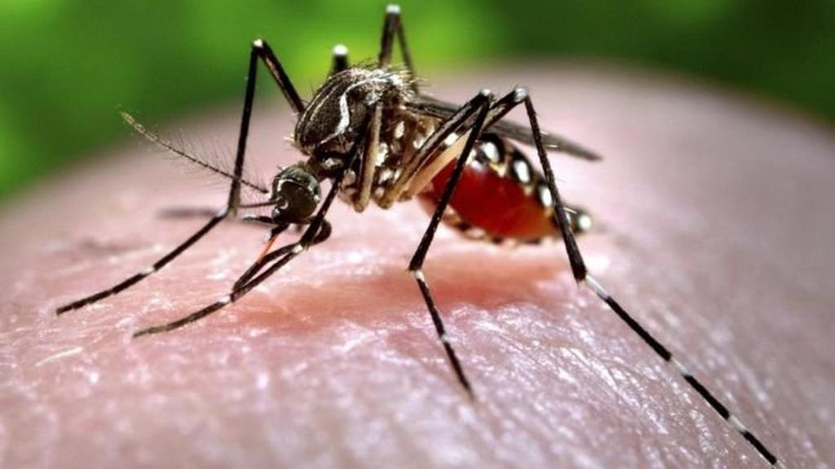 The Florida Department of Health has instructed Miami-Dade officials not to disclose the locations of five traps in Miami Beach where mosquitoes carrying the Zika virus were captured, according to a county attorney. The Miami Herald filed a lawsuit against the county on Sept. 16 seeking disclosure of records that will show the locations of the traps.