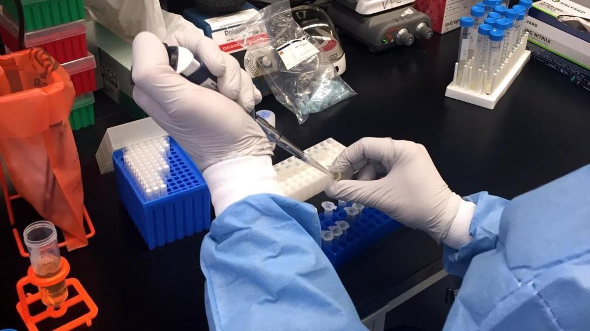 A Zika virus researcher transfers samples at the National Institute of Allergy and Infectious Diseases Vaccine Research Center laboratory. Results from two early-stage clinical trials show an experimental vaccine developed by NIAID scientists is safe and induces an immune response in healthy adults. The results were reported Monday in the medical journal, The Lancet.