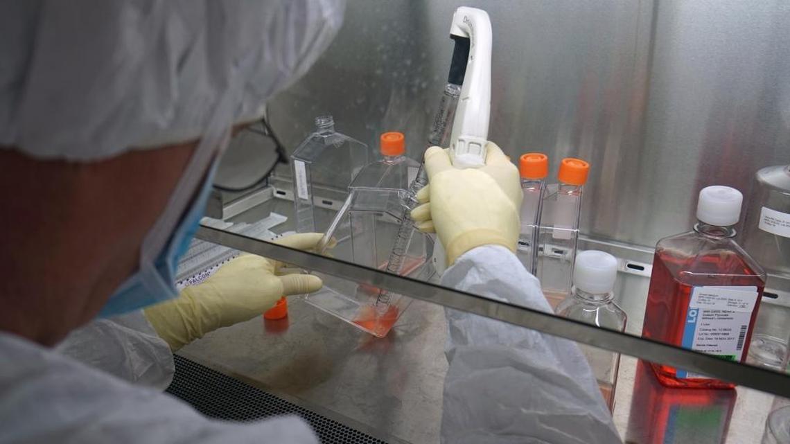 Scientists with the Walter Reed Army Institute of Research in November launched the first of five early stage clinical trials that they hope will lead to the development of a vaccine against the Zika virus.
