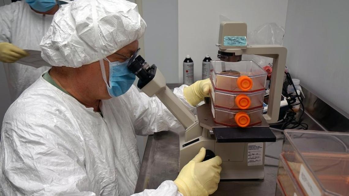 A staff member from Walter Reed Army Institute of Research’s vaccine production facility examines cultured mammalian cells for the Zika virus. WRAIR scientists developed the trial vaccine, called Zika purified inactivated virus, or ZPIV, using the same technology they used to create a Japanese encephalitis vaccine licensed in 2009.