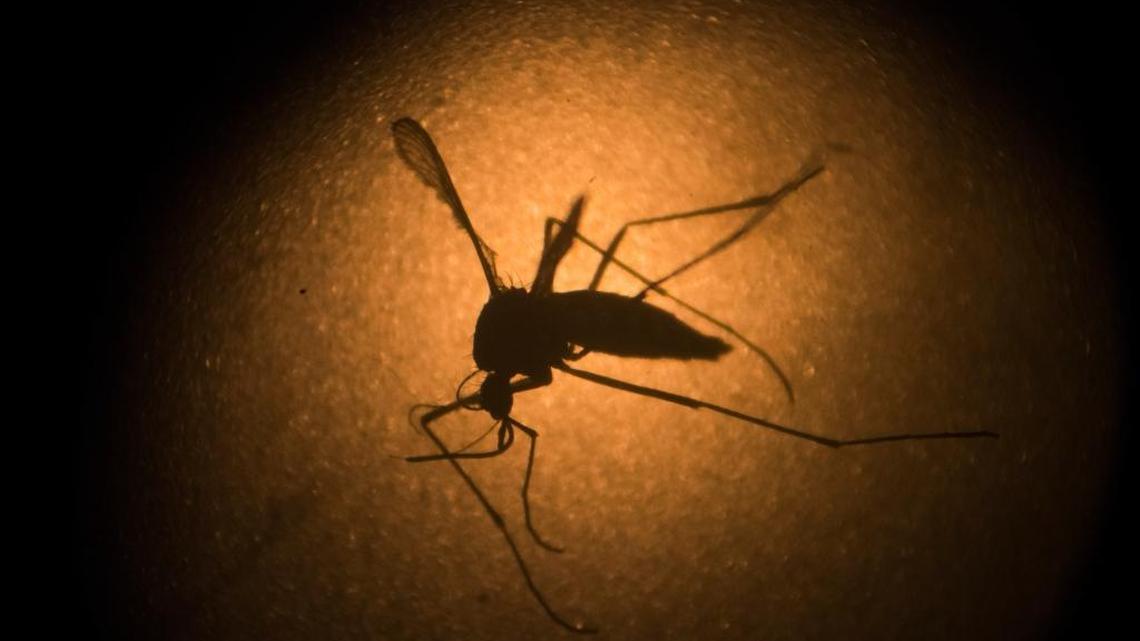 The U.S. Agency for International Development has awarded $30 million to private companies, universities and researchers to develop innovations that will address the current Zika outbreak — and prepare for the next global disease outbreak. Ideas include deploying drones to deliver medical supplies and ferry test samples from remote areas.
