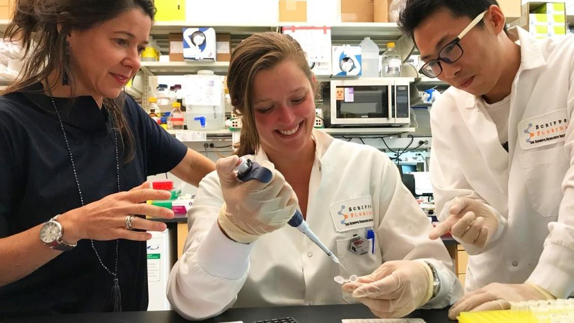 Scientists at the Scripps Research Institute’s Florida campus and authors of a new study that identifies a compound that suppresses HIV production in infected mice included (left to right): Susana Valente, Cari F. Kessing and Chuan Li. The study was published in the journal, Cell Reports, on Tuesday.
