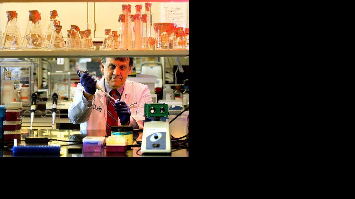 
Dr. Evangelos Badiavas, principal investigator at the Interdisciplinary Stem Cell Institute at the Miller School of Medicine, University of Miami works in his lab.


