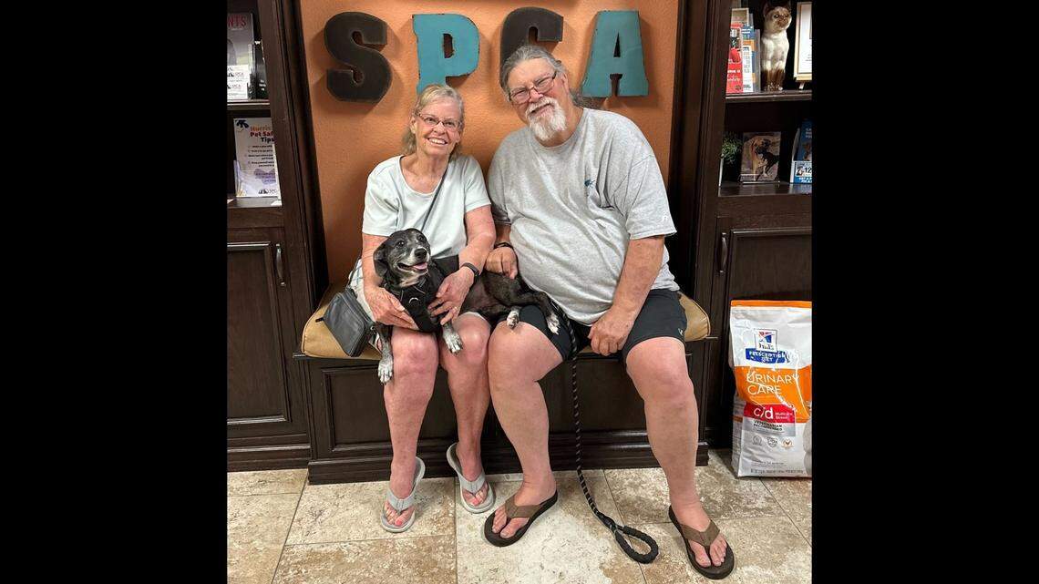 A family couldn’t wait to adopt Reba, a Florida dog who had bounced from home to home.