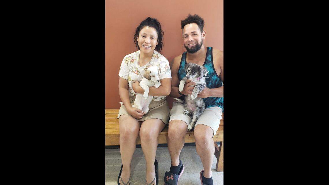 Two dog sisters have a new home together, a Mississippi shelter said.