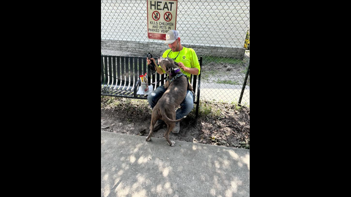 A Florida dog who once had a 7-pound mass on his face now has a loving new owner.