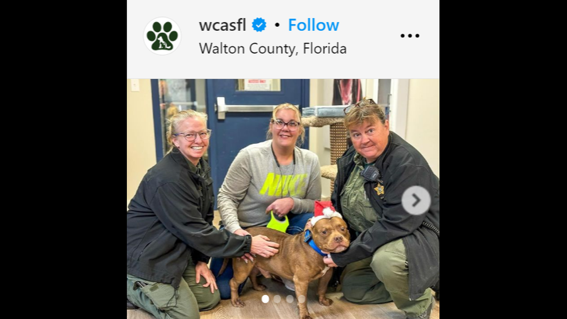 Taz was reunited with officers who visited him after the deadly crash.