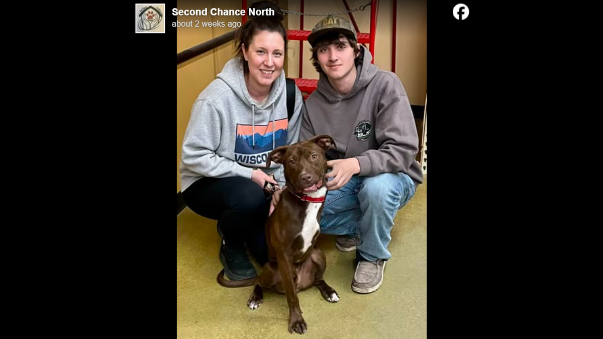 Tricky the three-legged dog is “thriving” with his new owners.