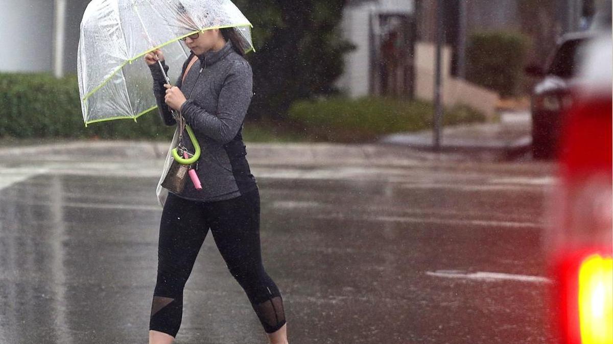 More rain is expected Wednesday in South Florida. Amid the storms on Tuesday, a pedestrian found shelter under her umbrella while crossing through intersection of Northwest 10th Avenue and 14th Street in Miami.