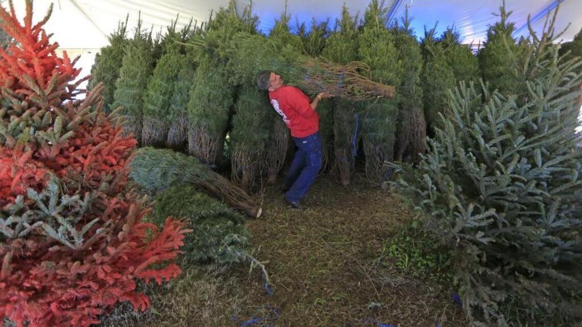 Classic '97: Attack of the killer trees