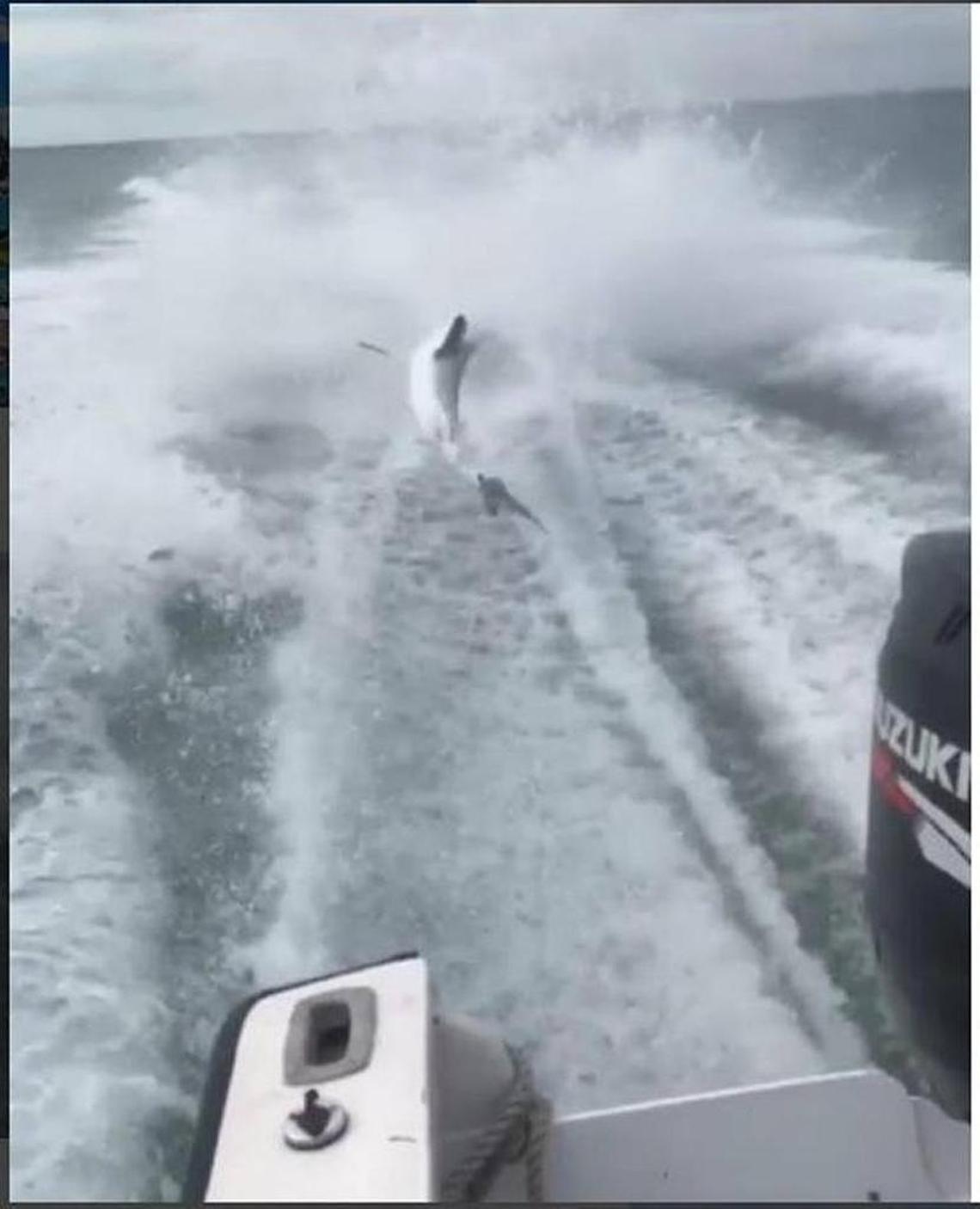 Officials have confirmed the identity of the participants but have not released their names while they continue to investigate.