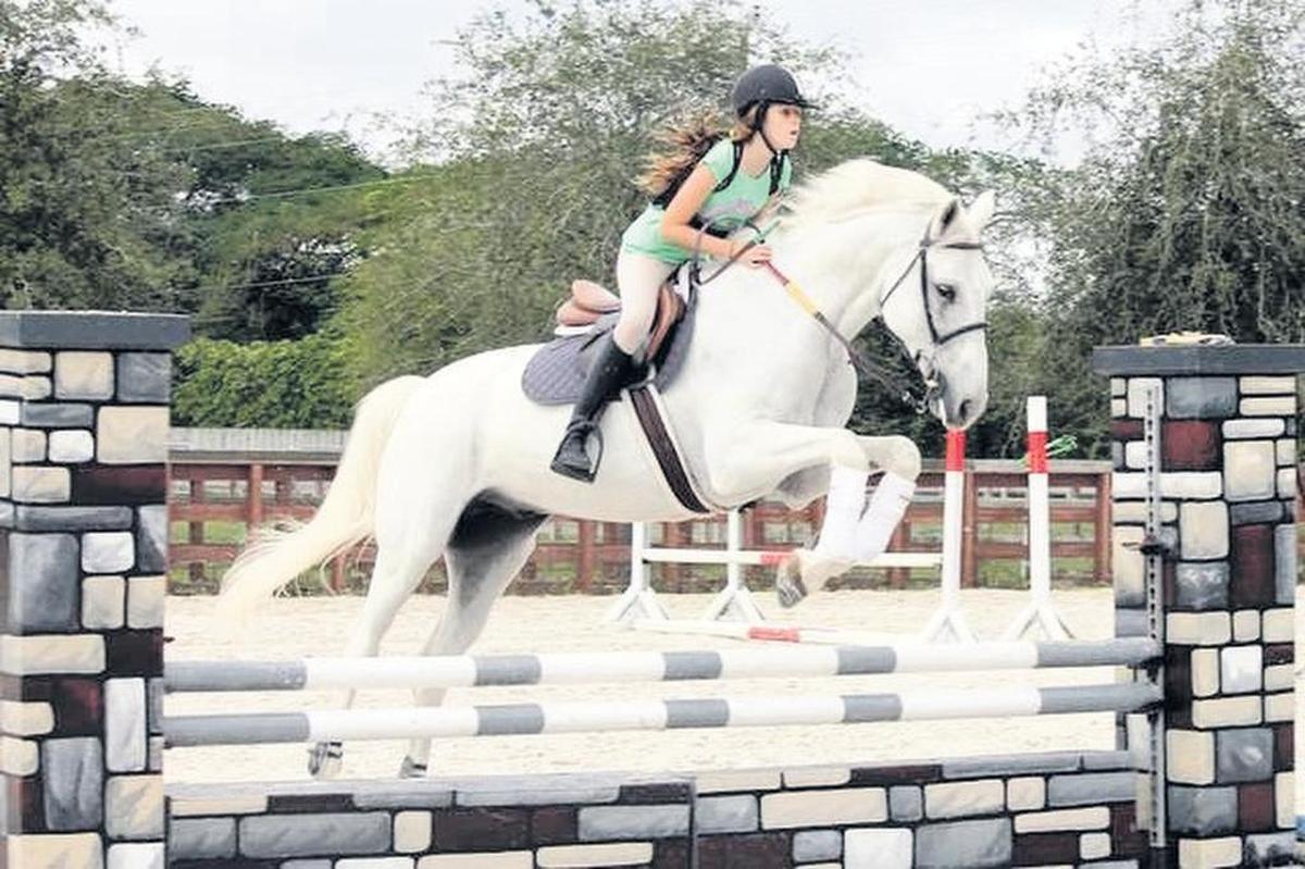 The Miami Equestrian Club offers horseback riding lessons, as well as pony riding lessons for younger children, on about 18 acres of Kendall farm.