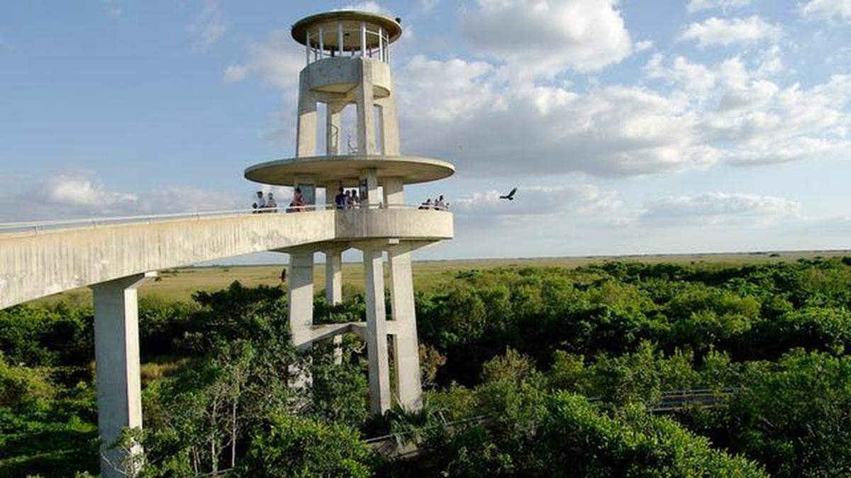 The observation tower at Shark Valley provides panoramic views of Everglades National Park.