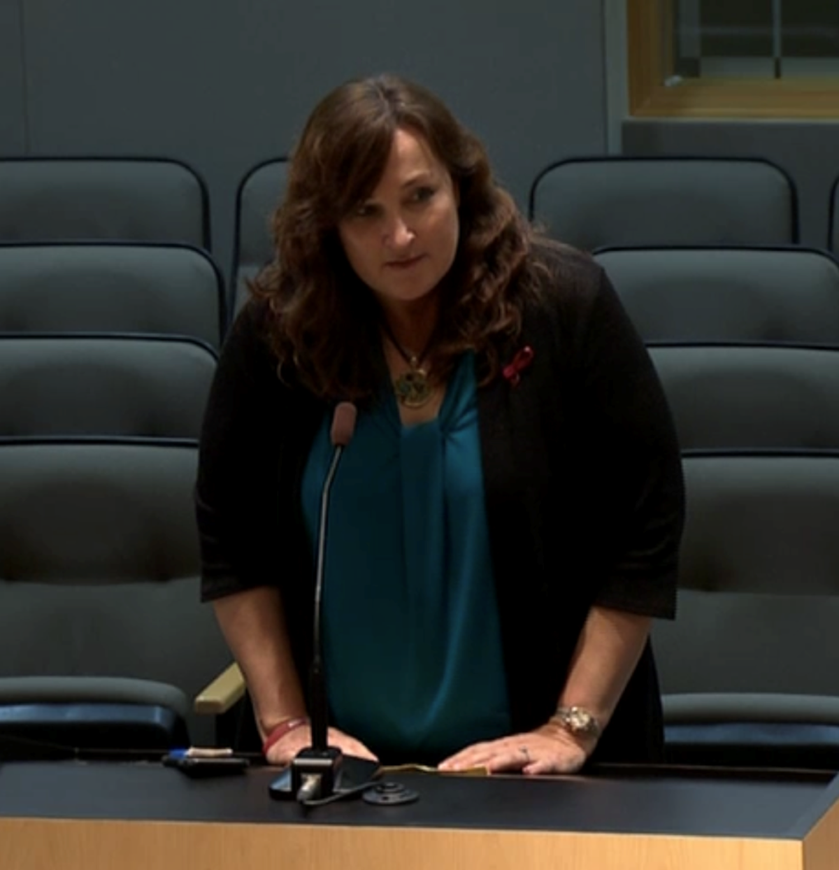 Parkland Mayor Christine Hunschofsky testifies on the Legislature’s school safety and gun bill before the Florida Senate Rules Committee on Monday.