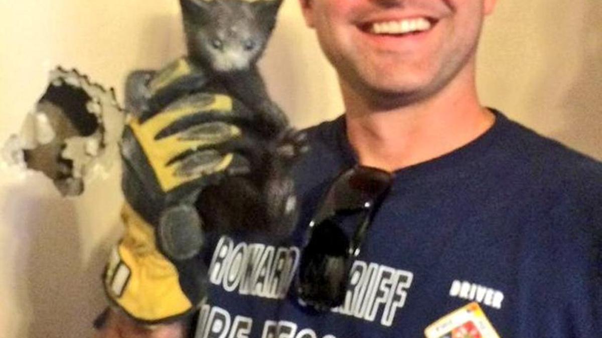 Broward Sheriff Fire Rescue Driver/Engineer Brian Baker holds a kitten rescued from the wall of a Deerfield Beach home Monday.