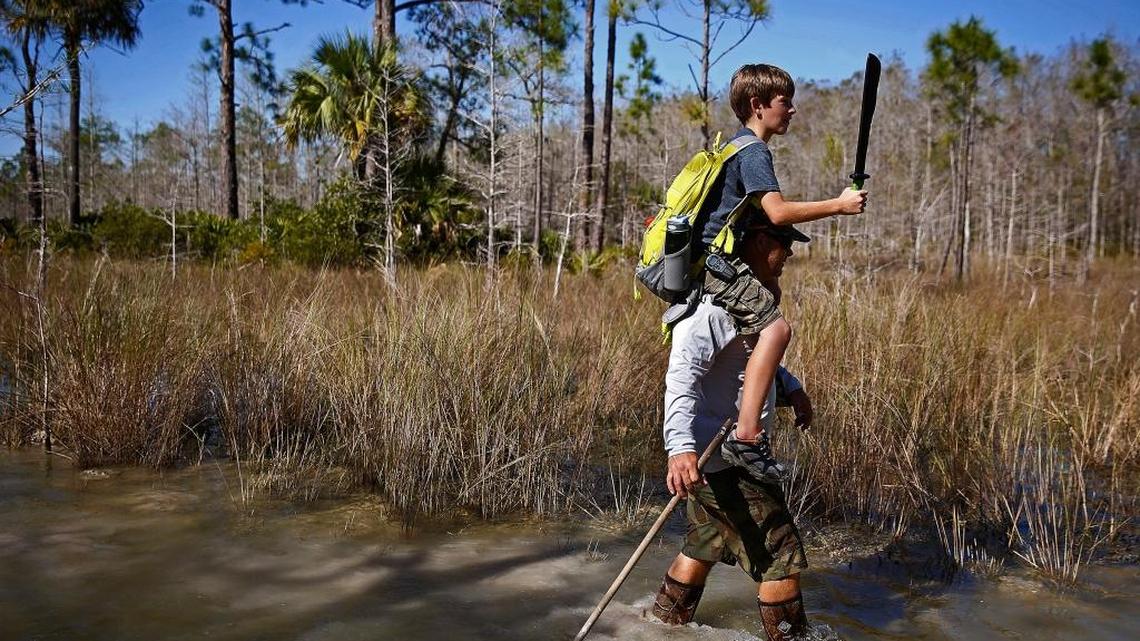 Tyler Pyle, 12, holds a wooden machete as he sits on the shoulders of this father, and Shane Pyle, as they make their way through a waterlogged trail Jan. 16, 2016 in the Big Cypress National Preserve in Collier County.