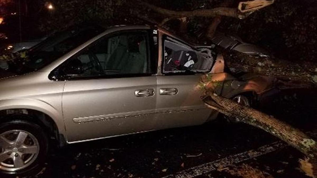 Monday night’s tornado dropped a tree on a car.