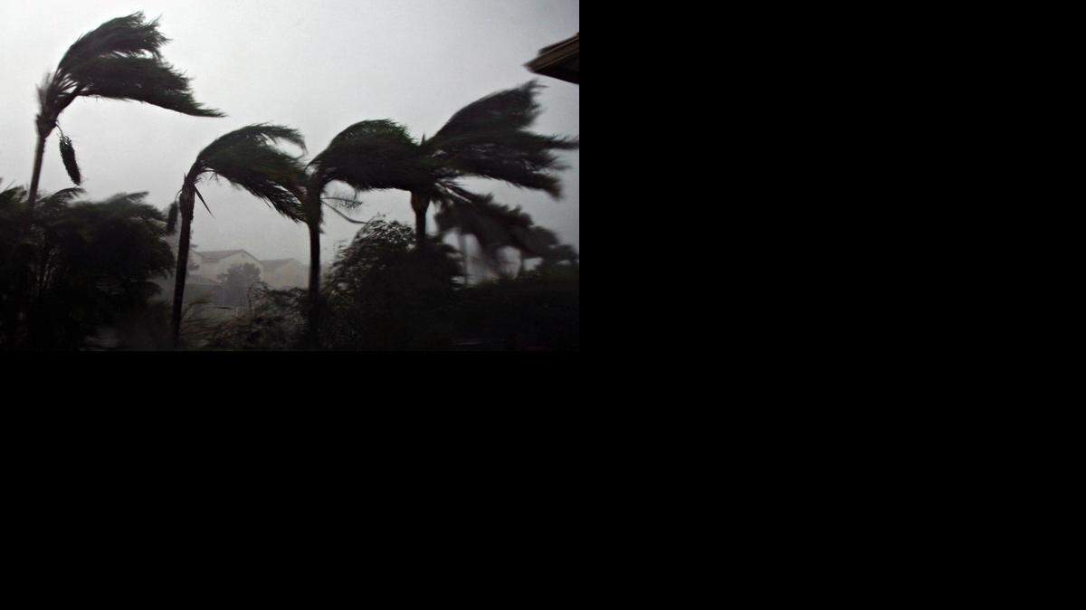 
LOSSES: Palm trees bend in the winds of Hurricane Wilma as the storm makes landfall in Plantation in October 2005. Hurricane Wilma knocked down trees and power lines and flooding low-lying areas on a path to the Atlantic Ocean. The storm caused billions in damages in insured damages, more than any of the four storms to hit the state in 2005. A new federal audit shows the Federal Emergency Management Agency may have paid for damages that a private insurer should have covered.
