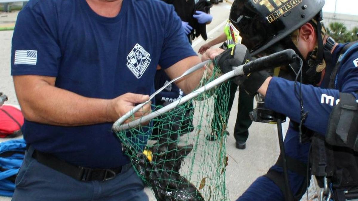 Broward Sheriff Fire Rescue firefighter/paramedics Mike Tumminello, left, and Jarrett Buetti with the netted kitten.