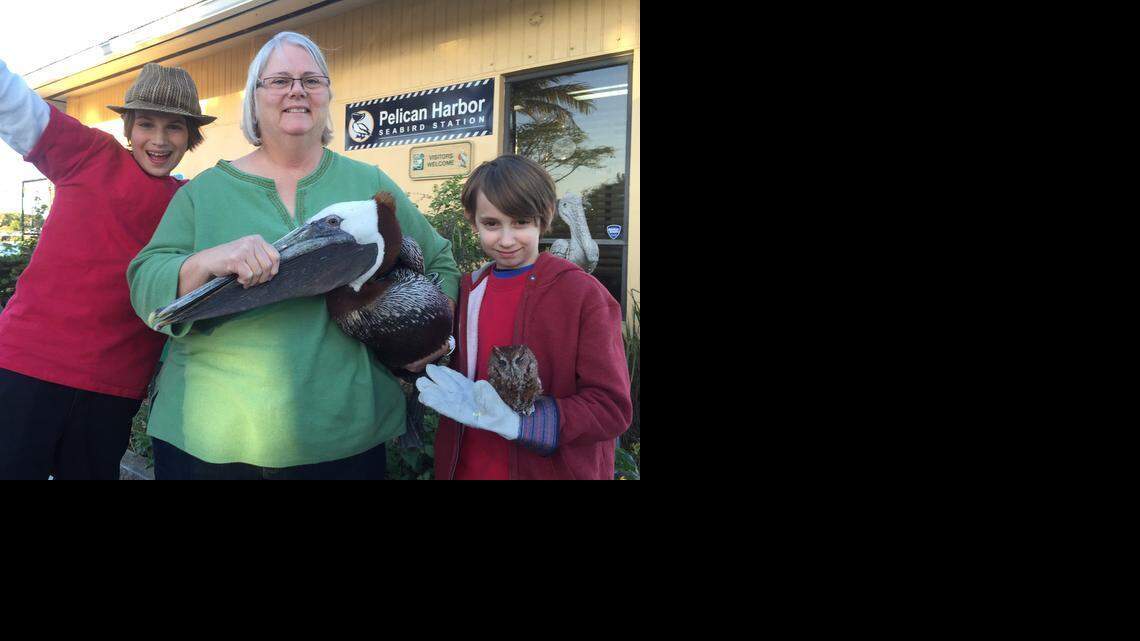 
L to R Ethan and Benjamin Morris with Pelican Harbor Seabird Station Administrative Manager Jan Pye (center)
