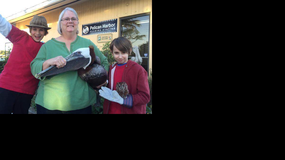 
L to R Ethan and Benjamin Morris with Pelican Harbor Seabird Station Administrative Manager Jan Pye (center)
