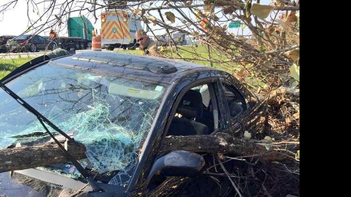 
Rescuers removed at least one injured person from this car. A tree went through the front windshield on I-75 in Davie.
