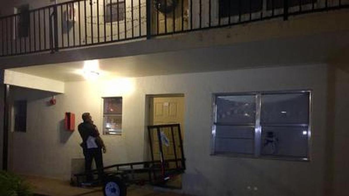 An officer peeks through a window of Lauderhill apartment where a woman was attacked by one of her three dogs. The dogs were left inside the apartment.