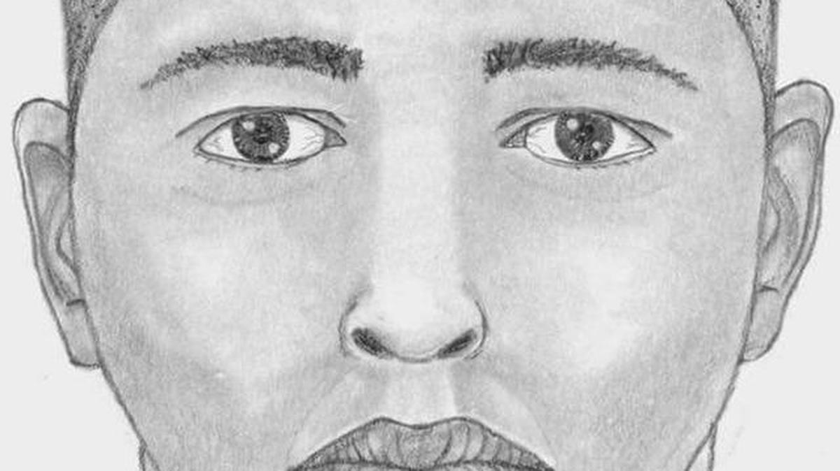 Sketch of possible suspect