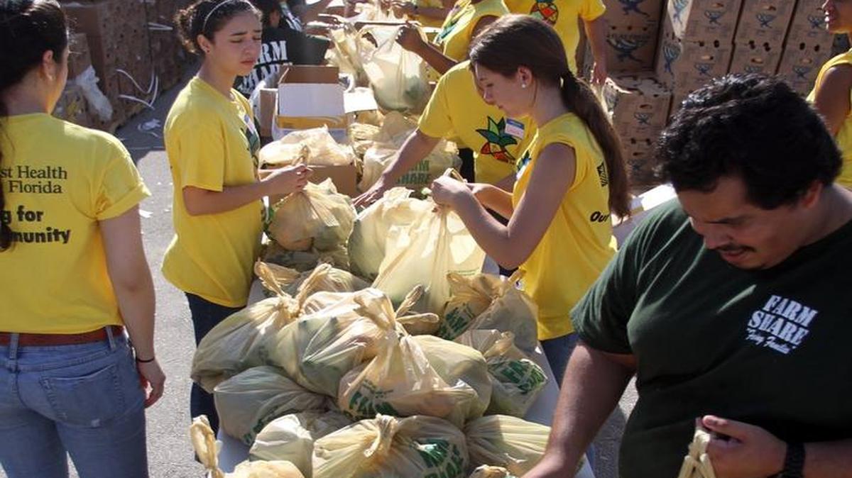 
Volunteers add fresh produce to bags during a Farm Share food-distribution event at Tamiami Park in Sweetwater on June 15, 2013. 
