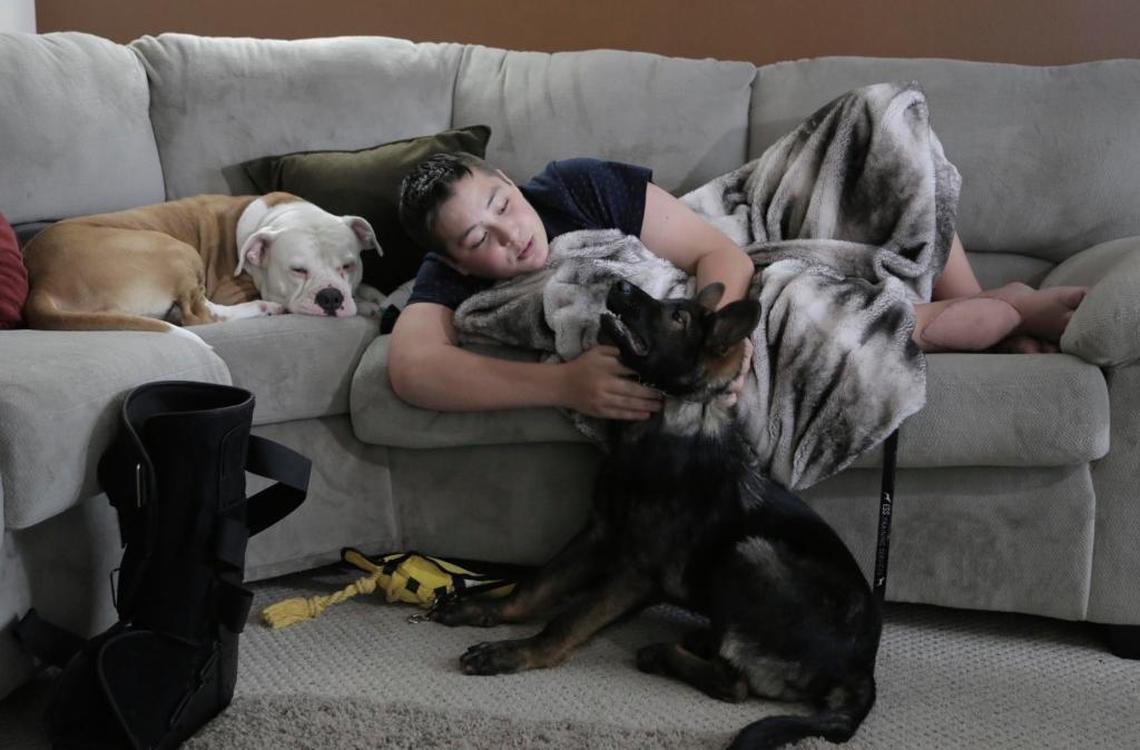 Kyle Laman at home with his dogs. Katie, the family’s American bulldog, sleeps next to him and Bruce, his new German Shepherd Service dog, plays with him below. Bruce was sent to him from the Matt Martin Foundation and Paws 4 Liberty to help with his anxiety and panic attacks following the shooting at Marjory Stoneman Douglas High School.