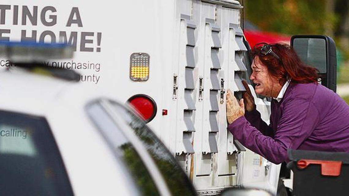 
A woman cries after a dog was confiscated by Broward animal control officials on Saturday. The woman declined to provide her name. Neighbors say the dog was responsible for an attack that sent a boy and an adult to the hospital.
