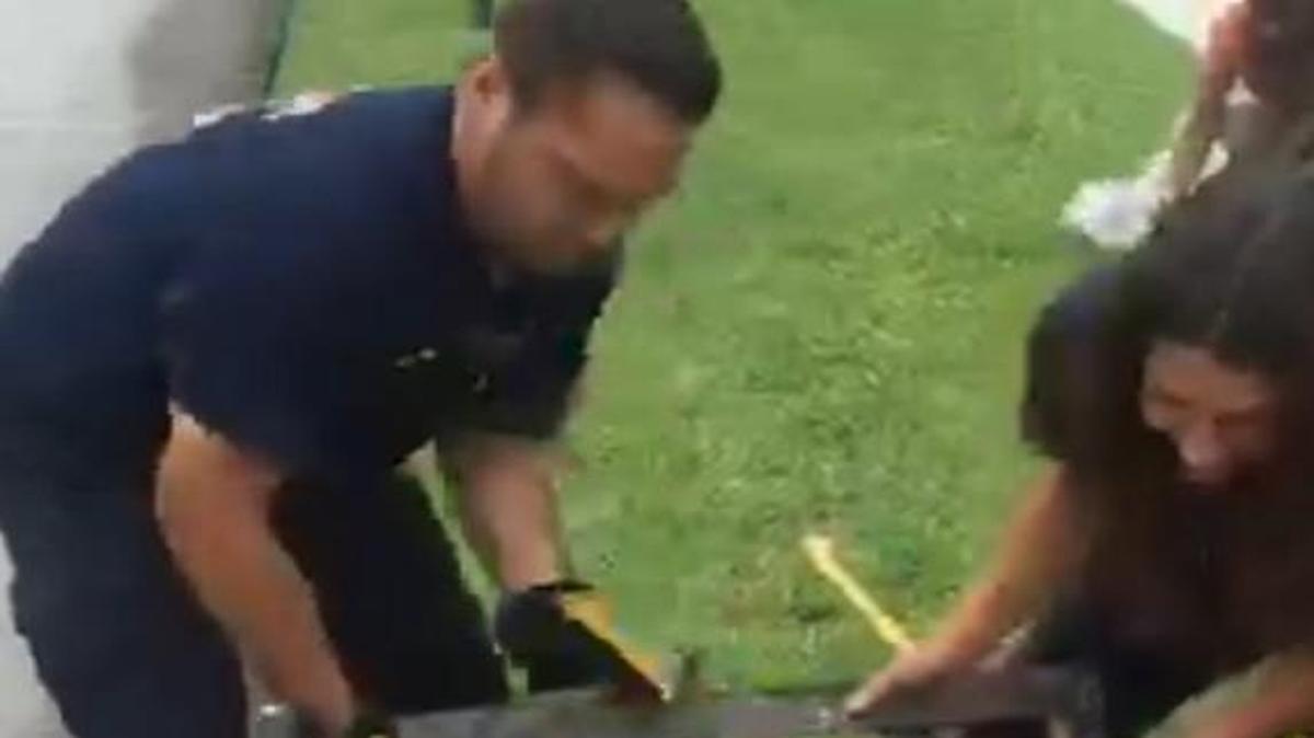 
Miramar Fire Rescue rescued four baby ducks stuck in a storm drain on Tuesday.
