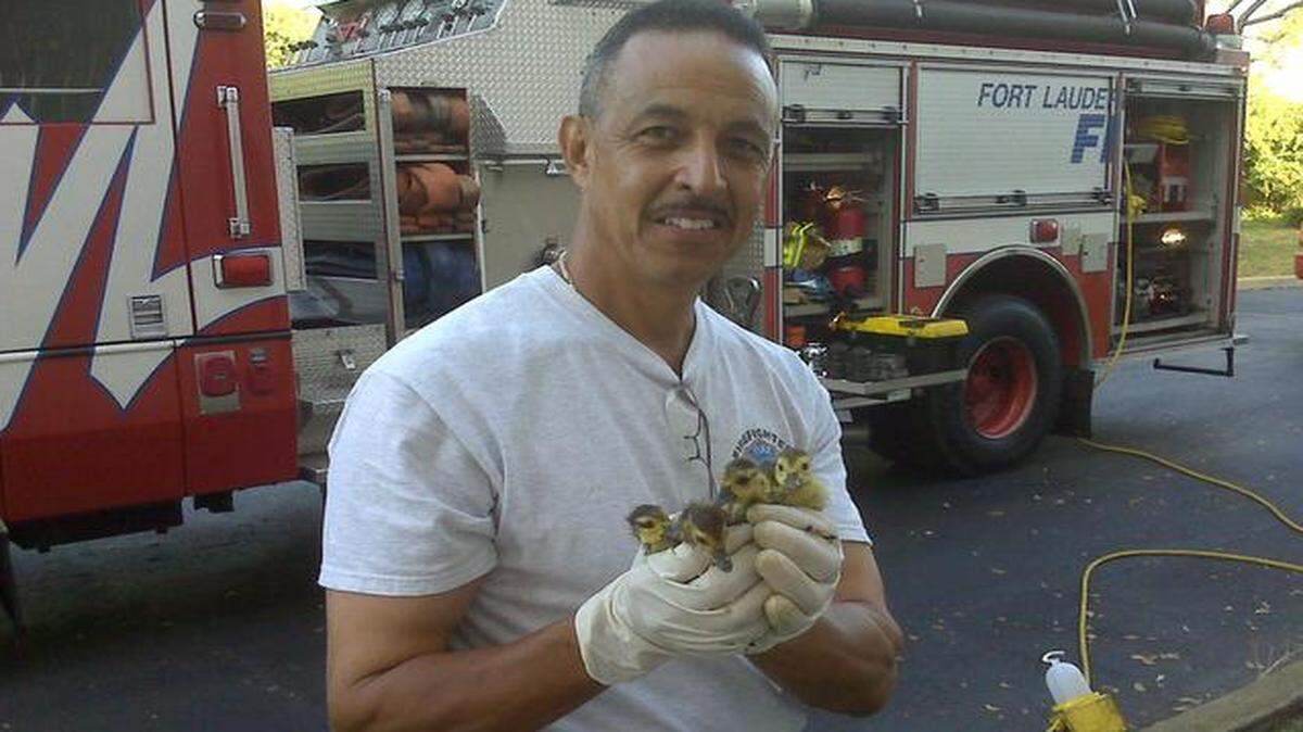 
Firefighter Hector Loiz poses for a picture with the rescued ducklings at 2700 Northwest 62nd Street on Sunday, Oct. Oct. 26, 2014.
