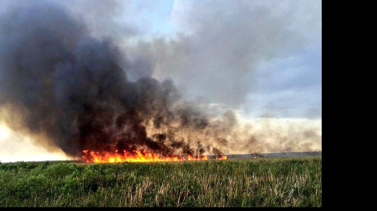 
At least 60 acres have burned in western Broward County due to a brush fire.
