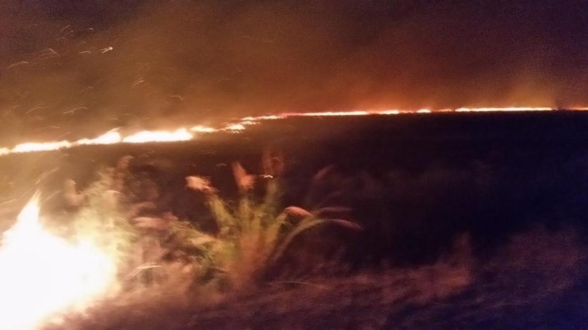 A brush fire in Pembroke Pines consumed 600 acres on April 5, 2017, according to the Florida Forest Service.