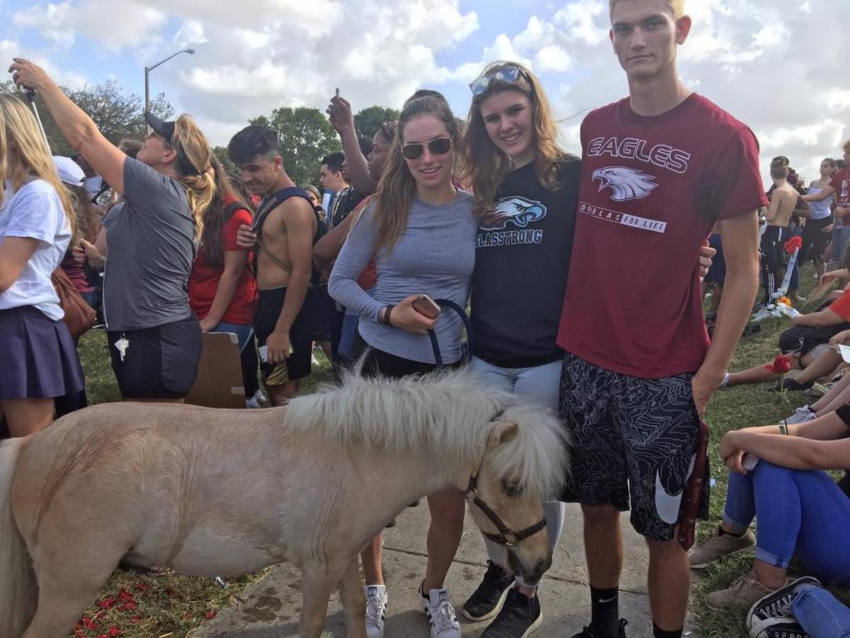 Carly Dvorkin, 16, a junior at North Broward High, brought her miniature pony, Butters, to help console students shocked by the shooting at Marjory Stoneman Douglas High School.
