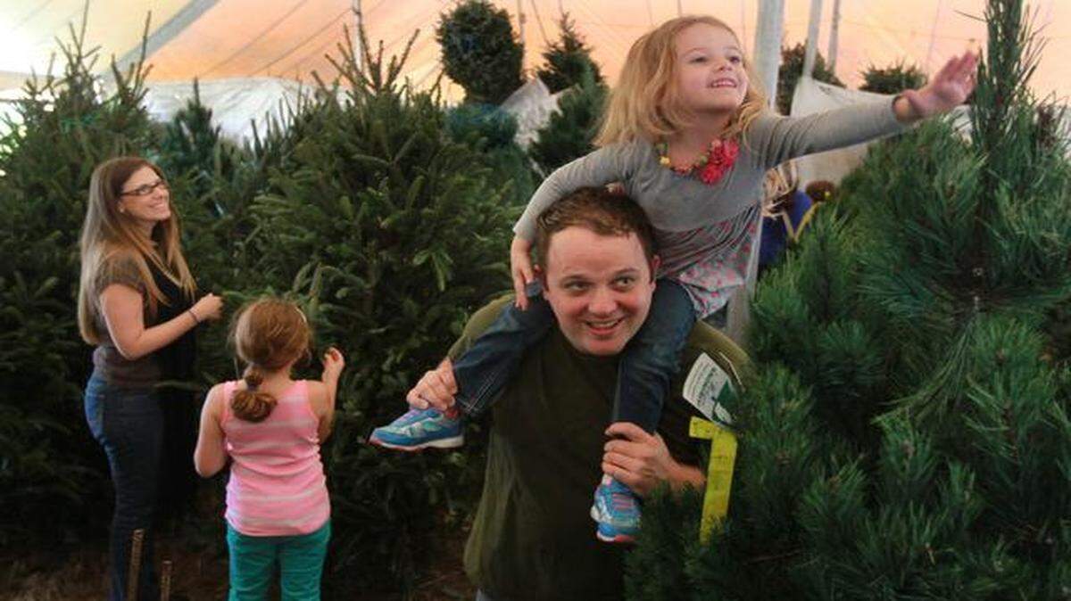 
Geoff Gackle, and his four year old daughter Jordyn, ( front right) and his wife Janeen, and daughter Taylor (left), get an early start on Christmas after the Thanksgiving holiday, buying a tree, at R.T.C. Events, located at SW 106th Ave., and Bird Road, Saturday, Nov. 29, 2014.
