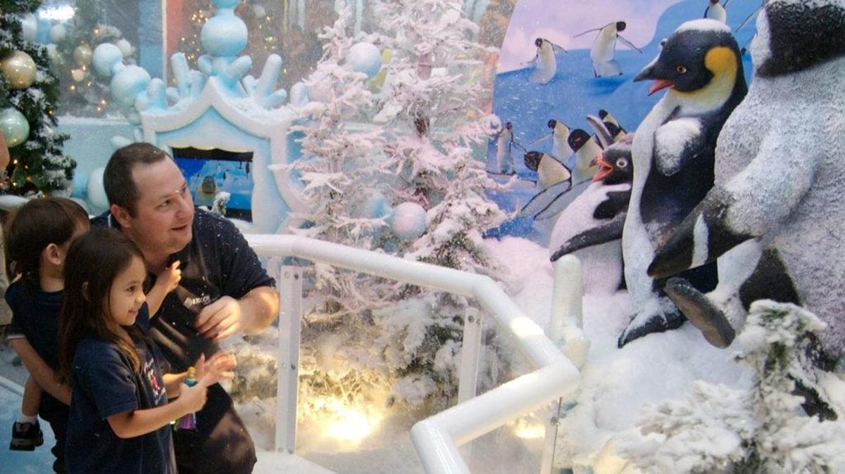 A family admires a Snow Globe display at the Magic Snowfall at the Dolphin Mall in Doral.